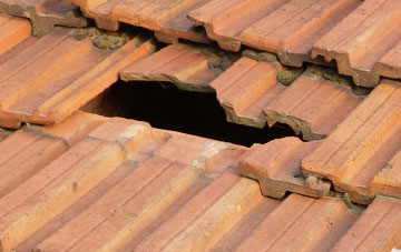 roof repair Hassingham, Norfolk